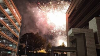 わっしょい！花火の感動を胸に：熱気あふれる夏祭りから開院へ