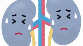 慢性腎臓病（CKD）と早期対策の重要性